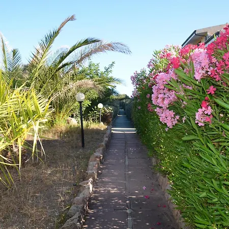 Costa Del Turchese באדזי